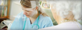 What-services-do-we-provide